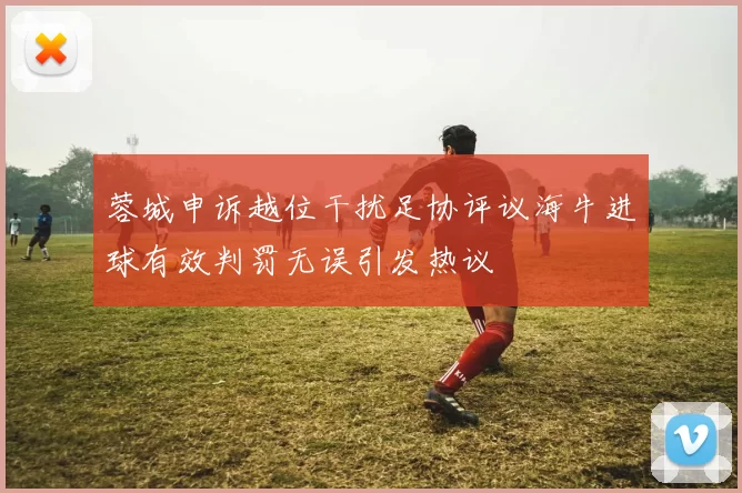 蓉城申诉越位干扰足协评议海牛进球有效判罚无误引发热议