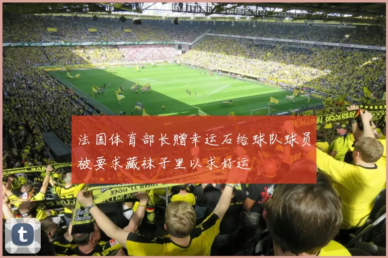 法国体育部长赠幸运石给球队球员被要求藏袜子里以求好运